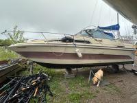 Used-Sea-Ray-2