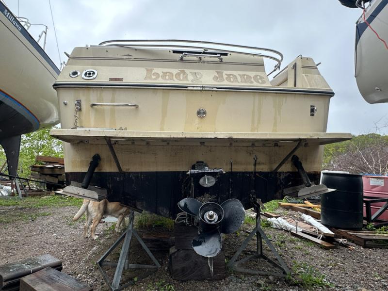 Used-Sea-Ray-1