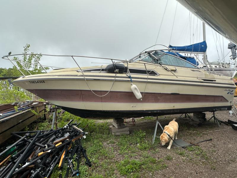 Used-Sea-Ray-2